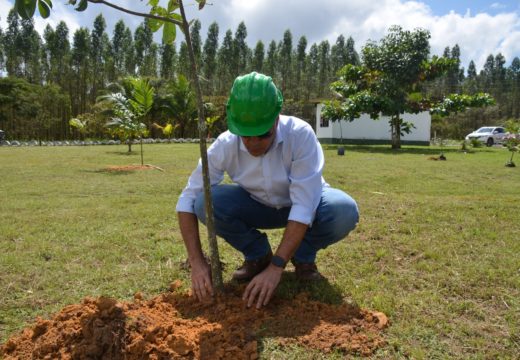 Prefeitura atinge a marca de 1.000 mudas plantadas no Aterro Sanitário de Alagoinhas
