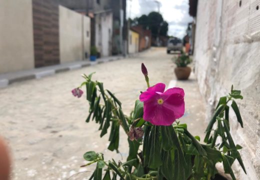 RUA DA PALHA: Moradores fazem homenagem durante entrega da requalificação da rua na sexta-feira (26)