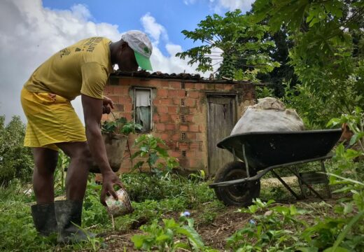 FERTILIZAR O CAMPO: Prefeitura desenvolve programa de melhoria dos solos agrícolas e destina mil toneladas de adubo às comunidades rurais