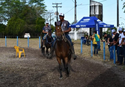 Alagoinhas realiza 1ª Copa de Marcha do Cavalo Mangalarga Marchador