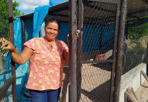 Agricultores de Alagoinhas recebem viveiros de galinhas e impulsionam a produção rural